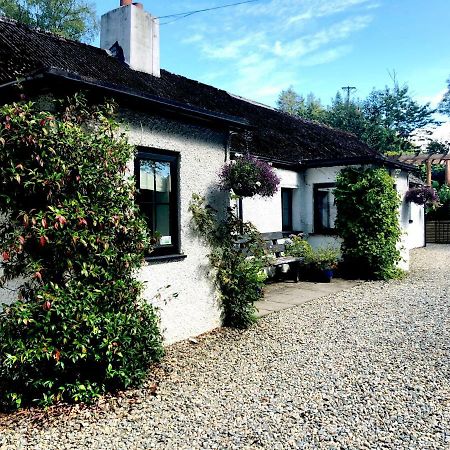 The Wicklow Escape (Adults Only) Donard Екстериор снимка