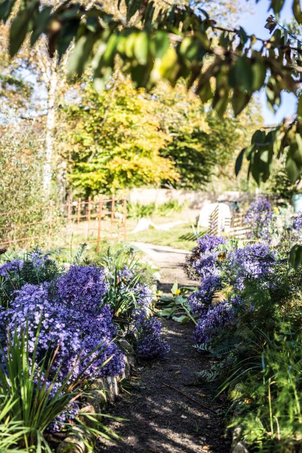 The Wicklow Escape (Adults Only) Donard Екстериор снимка