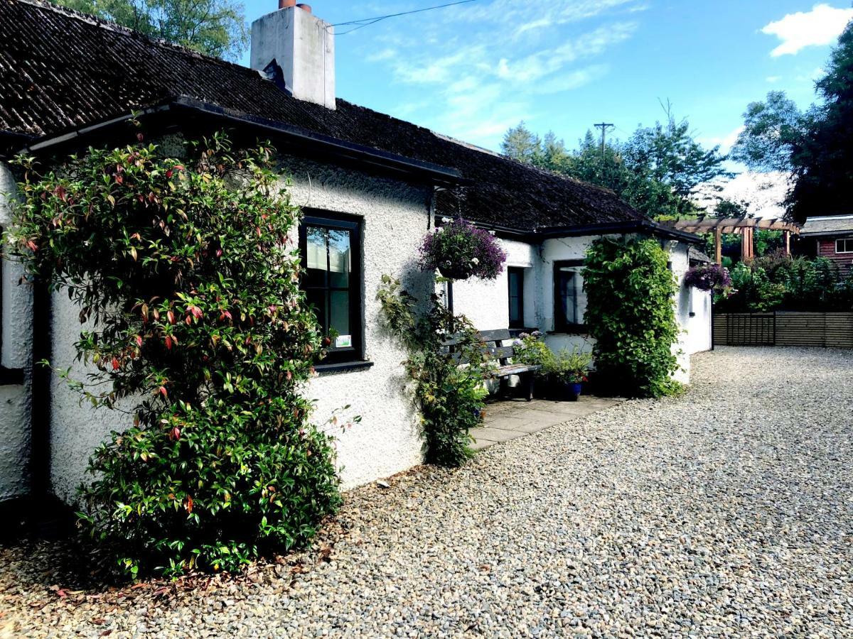 The Wicklow Escape (Adults Only) Donard Екстериор снимка