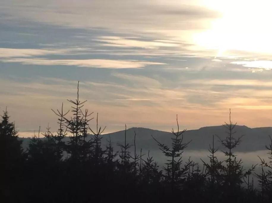 The Wicklow Escape (Adults Only) Donard Екстериор снимка